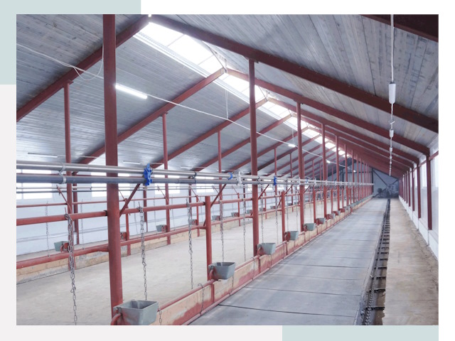 Строительство коровников в Осинниках от 615 руб.