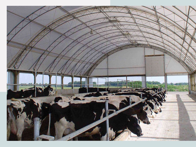 Тентовые коровники в Осинниках